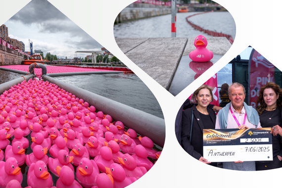 Golden Palace participe  la Pink Duck Race dAnvers